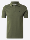 Eddi Polo Size M